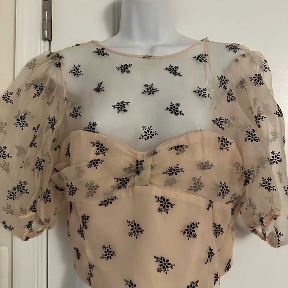 Zara Sheer Cream and Black Floral Blouse
